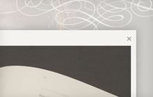 Graphic Designer