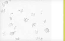 Property Marketing Co